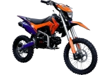 EX Blue Orange Ant