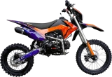EX Blue Orange Ant