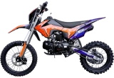 EX Blue Orange Ant