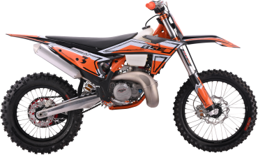 TS 300R