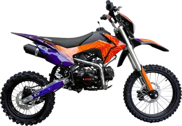 EX Blue Orange Ant