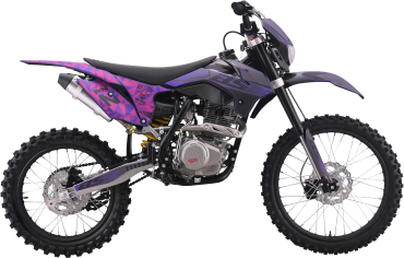 Z2 L Split Purple