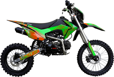 EX Green Orange Ant