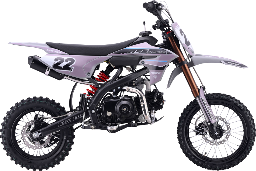 NEW ERA Gray Reed Auto