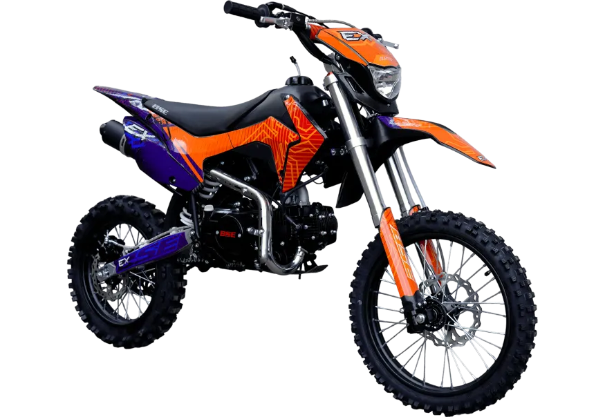 EX Blue Orange Ant