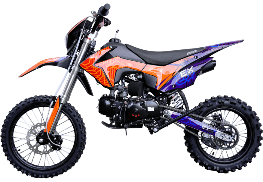 EX Blue Orange Ant