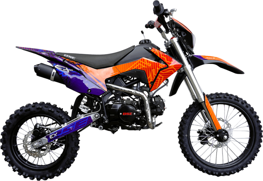 EX Blue Orange Ant
