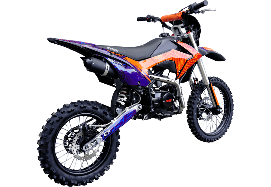EX Blue Orange Ant