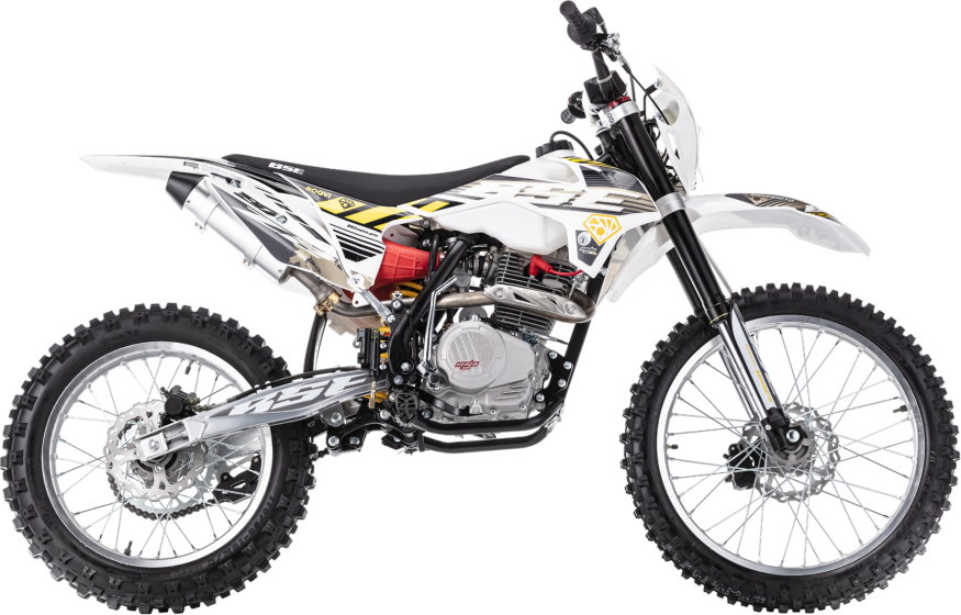 Z2 Roqvi Yellow