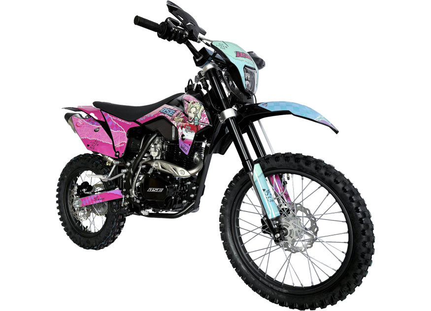Z1 Quinn
