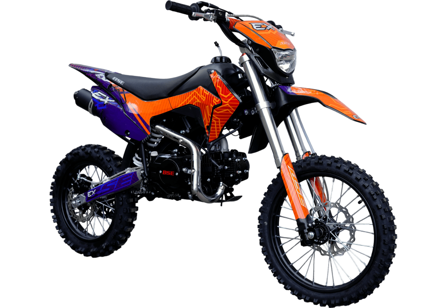 EX Blue Orange Ant