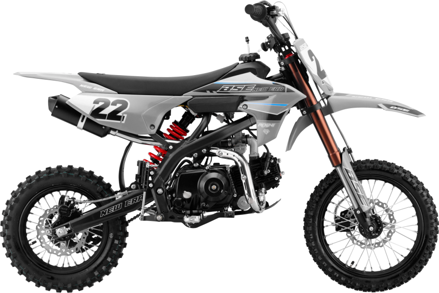 NEW ERA 110 Gray Reed Auto